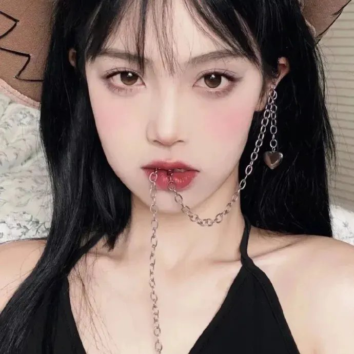 翱翔于天际的夜鹰